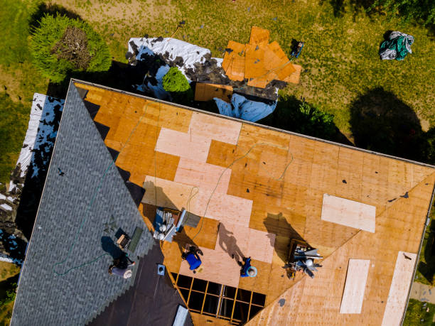 Best Storm Damage Roof Repair  in Montgomery, IN