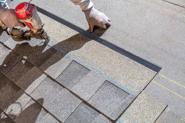 Best Flat Roof Repair Services  in Montgomery, IN