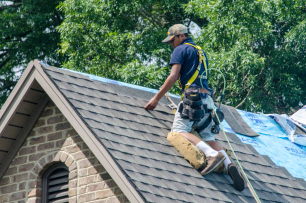 Best Roof Restoration Services  in Montgomery, IN